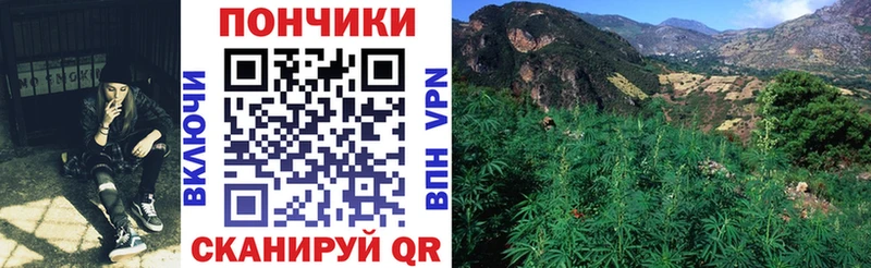 Канабис Bruce Banner ссылка на мегу зеркало Ершов купить наркотики сайты
